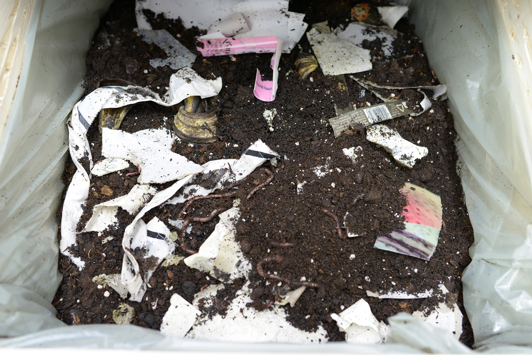 Crawler image 12