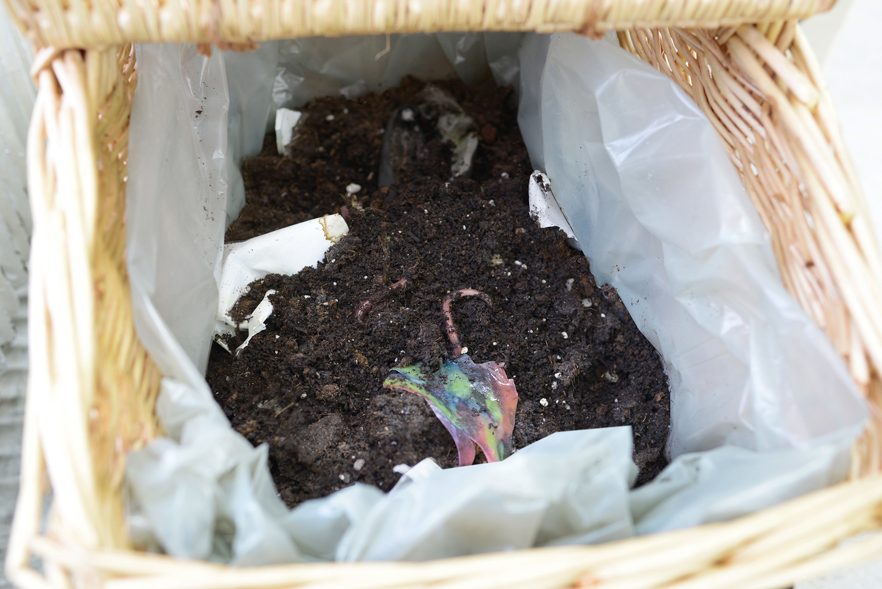 Crawler image 14